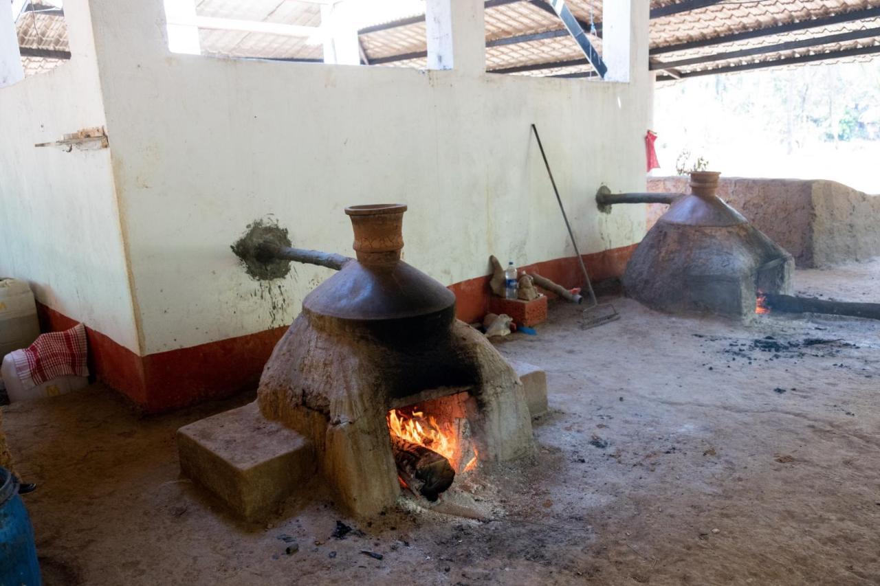 Mangaal Farmstay Goa Vichondrem Экстерьер фото