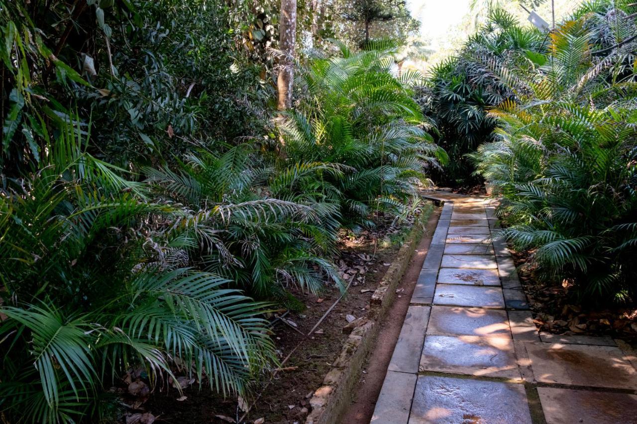 Mangaal Farmstay Goa Vichondrem Экстерьер фото