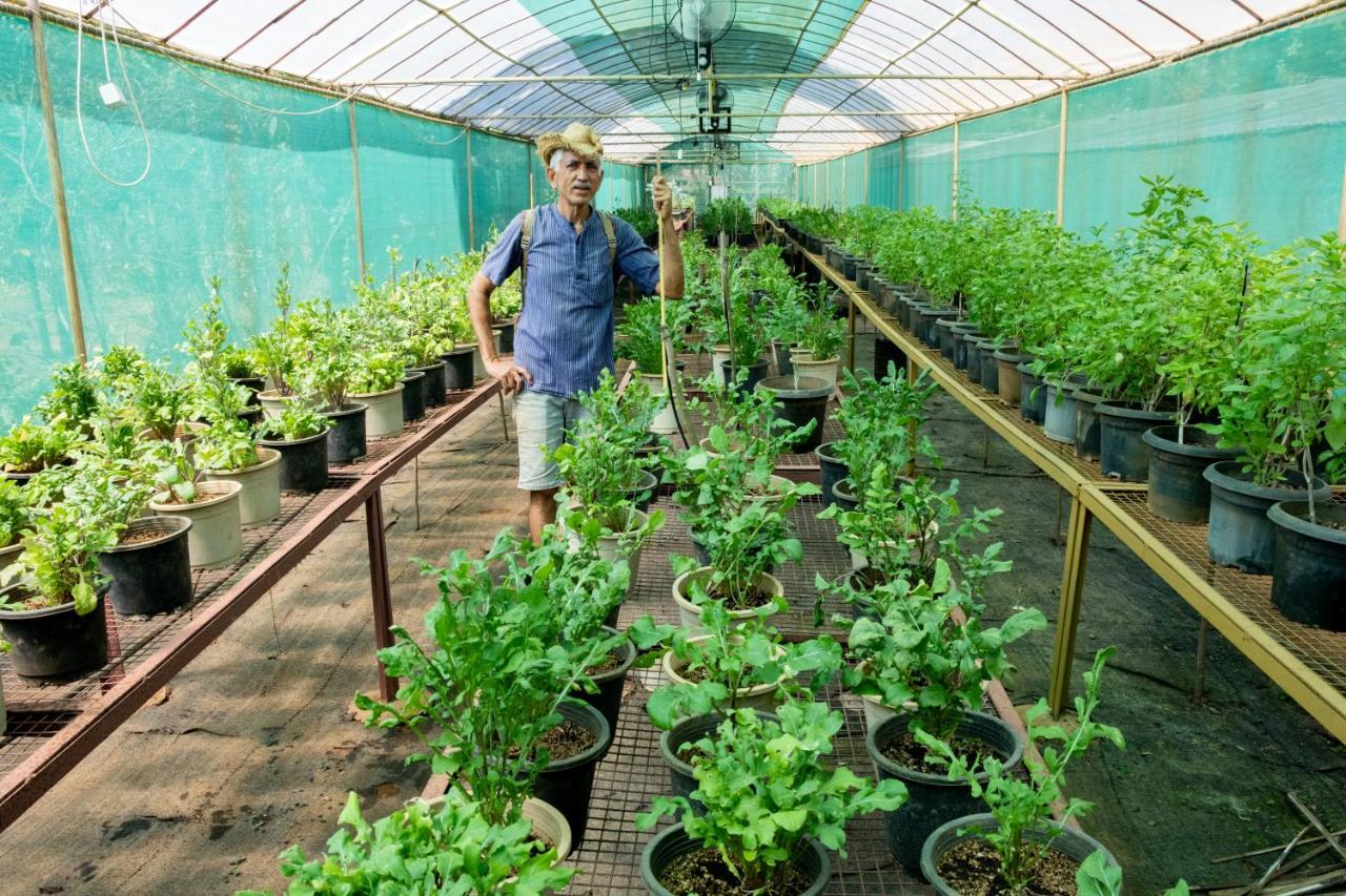 Mangaal Farmstay Goa Vichondrem Экстерьер фото