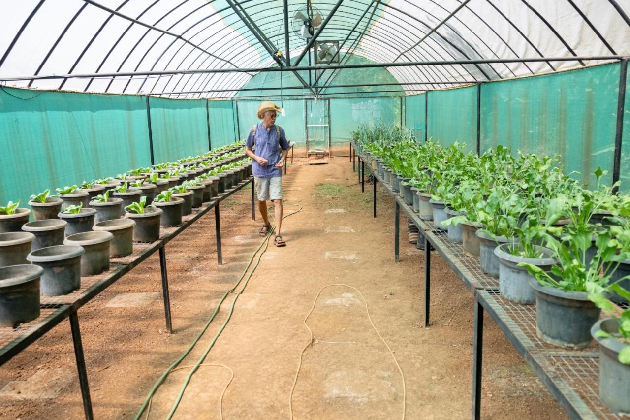 Mangaal Farmstay Goa Vichondrem Экстерьер фото