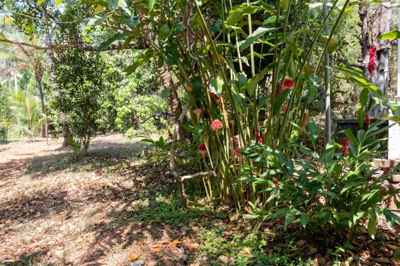 Mangaal Farmstay Goa Vichondrem Экстерьер фото