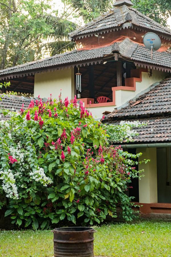 Mangaal Farmstay Goa Vichondrem Экстерьер фото