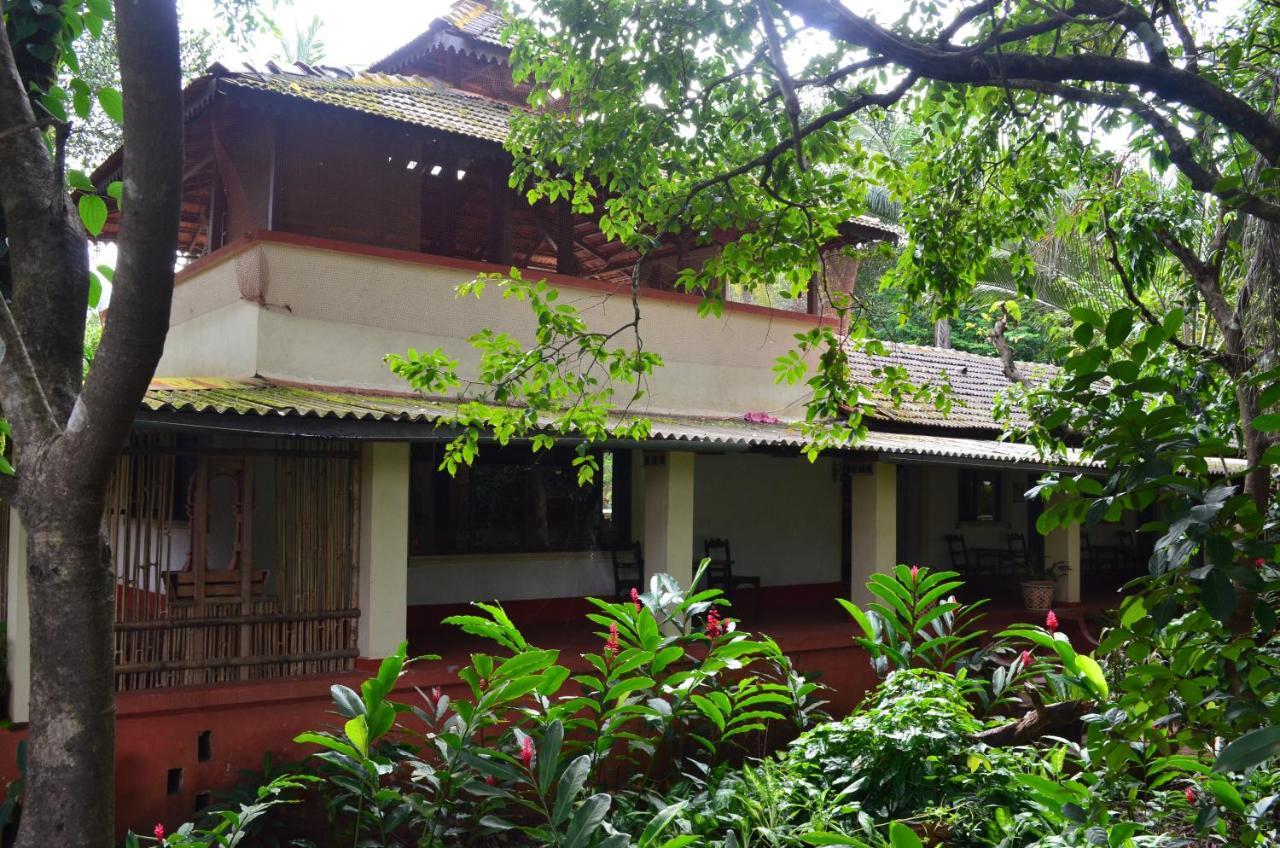 Mangaal Farmstay Goa Vichondrem Экстерьер фото