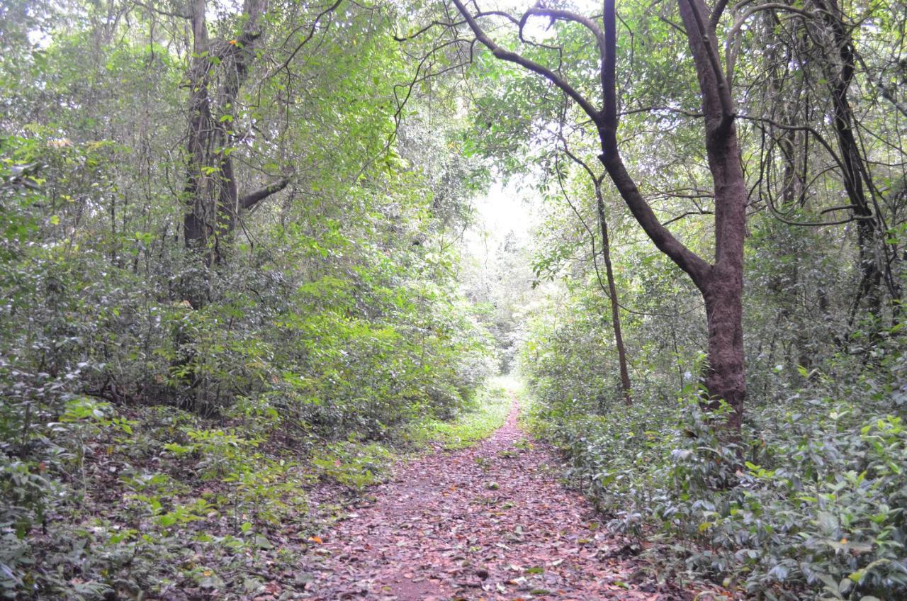 Mangaal Farmstay Goa Vichondrem Экстерьер фото
